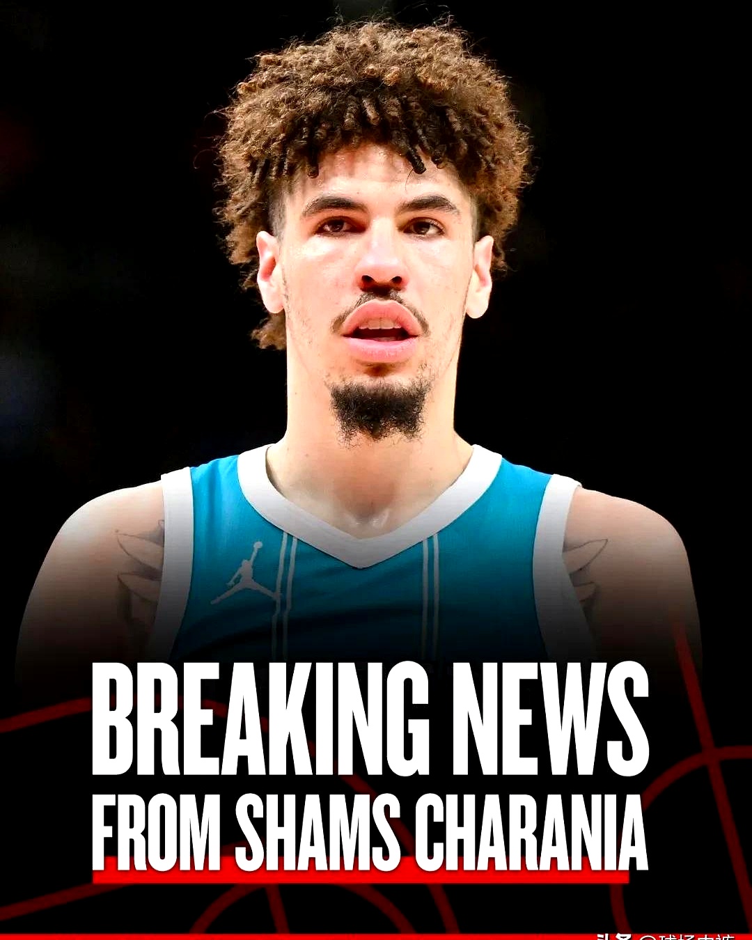 关于赛后夏洛特黄蜂完成体检——NBA季后赛节点到来，底气十足，球队文化再被提及的信息